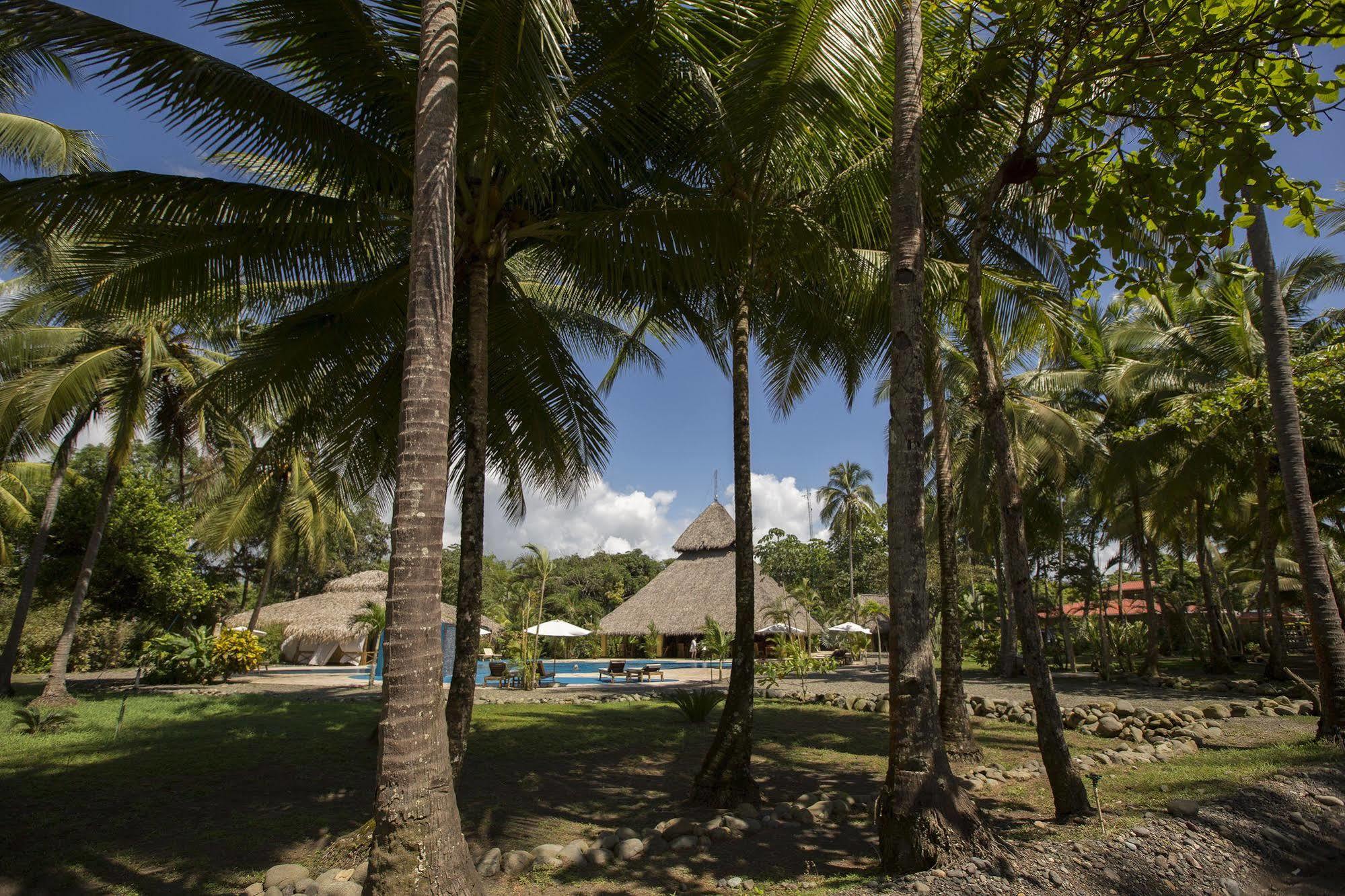 Clandestino Beach Resort Parrita Εξωτερικό φωτογραφία